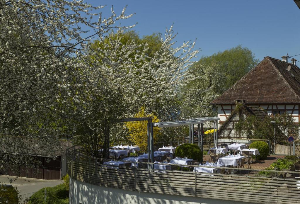 Restaurant-Terrasse mit gedeckten Tischen unter blühenden Bäumen