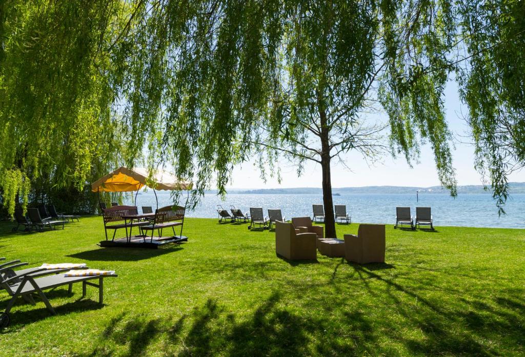 Liegewiese mit Sonnenliegen direkt am Ufer des Bodensees